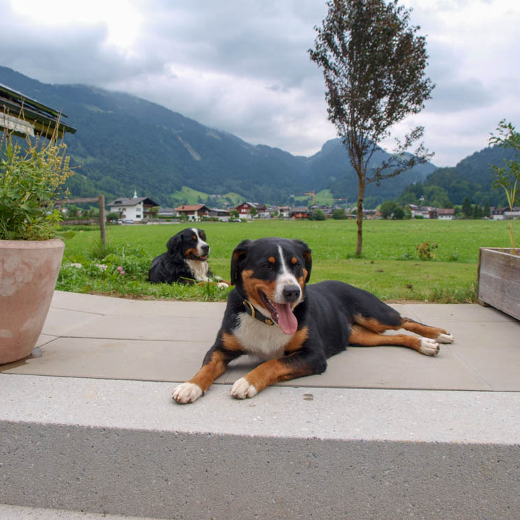 Eingangsbereich des Hauses