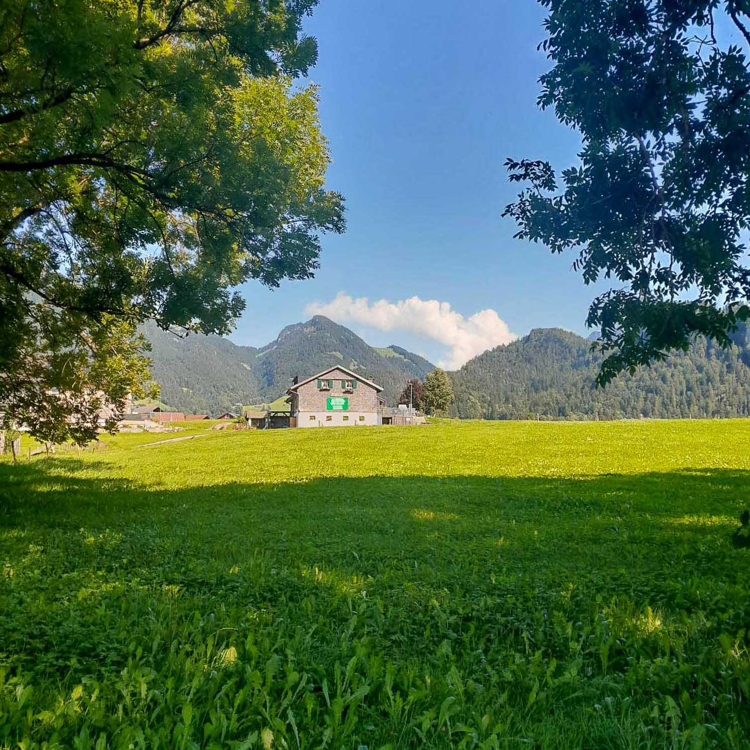 Seitenansicht des Hauses im Bregenzerwald