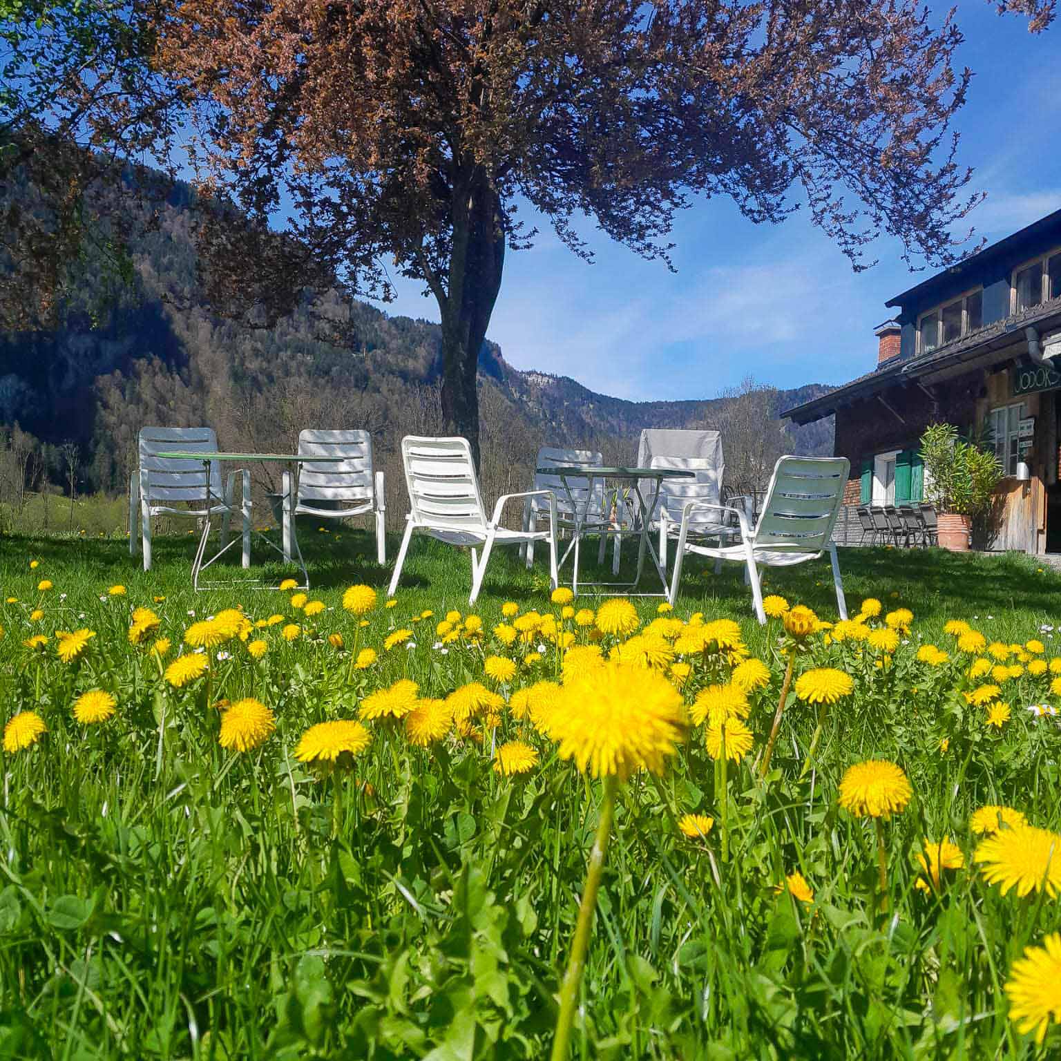 Vorderansicht des Gruppenhauses